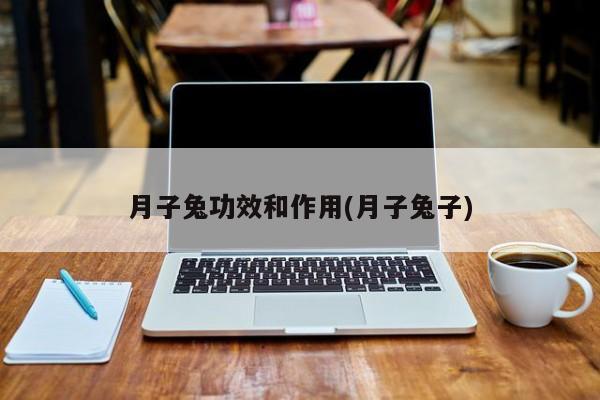 月子兔功效和作用(月子兔子) 第1张