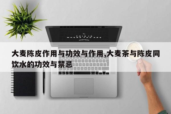 大麦陈皮作用与功效与作用,大麦茶与陈皮同饮水的功效与禁忌