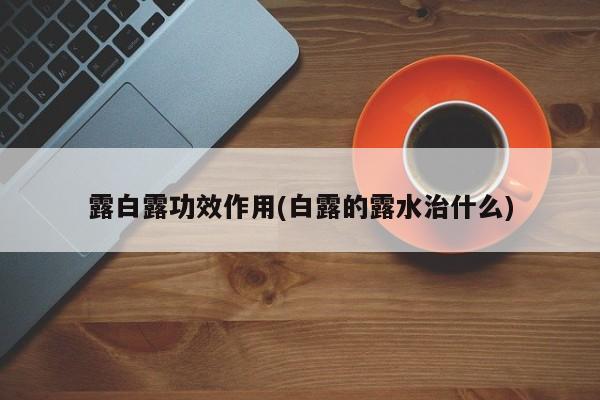 露白露功效作用(白露的露水治什么)