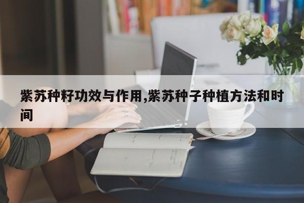 紫苏种籽功效与作用,紫苏种子种植方法和时间