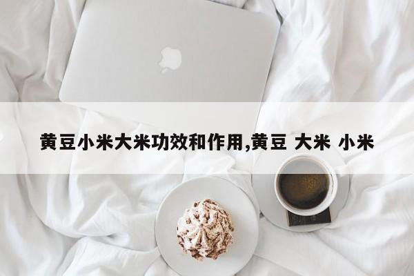 黄豆小米大米功效和作用,黄豆 大米 小米
