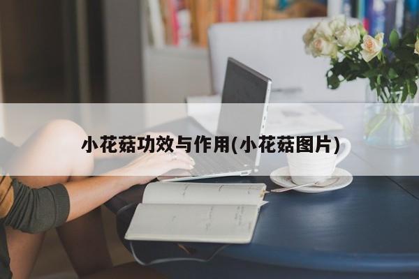 小花菇功效与作用(小花菇图片)