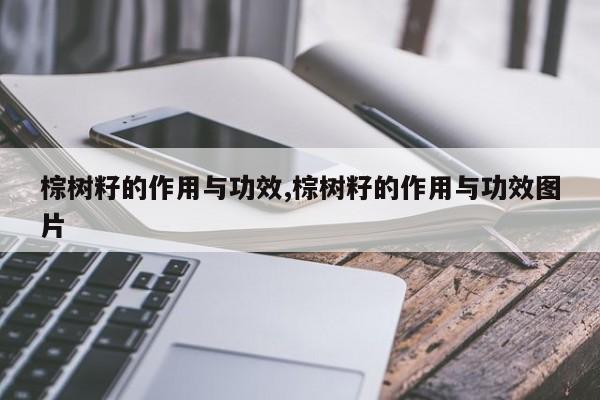 棕树籽的作用与功效,棕树籽的作用与功效图片