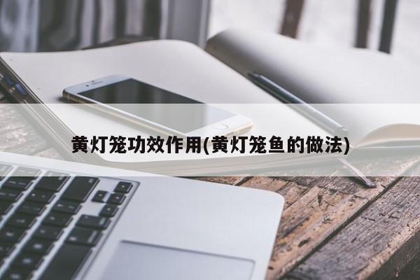 黄灯笼功效作用(黄灯笼鱼的做法) 第1张