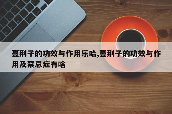 蔓荆子的功效与作用乐哈,蔓荆子的功效与作用及禁忌症有啥