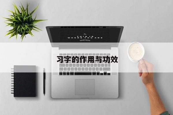 习字的作用与功效