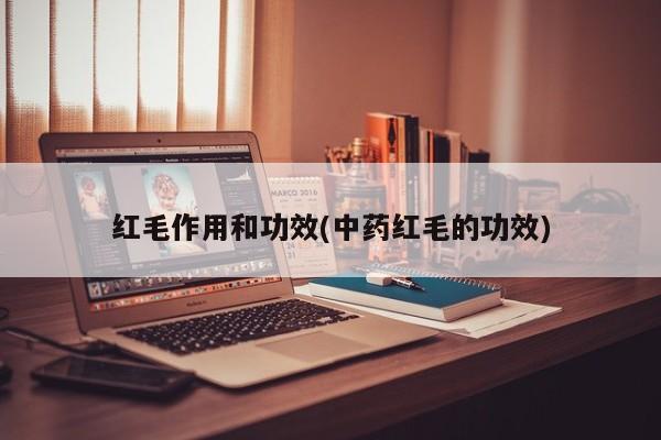 红毛作用和功效(中药红毛的功效)