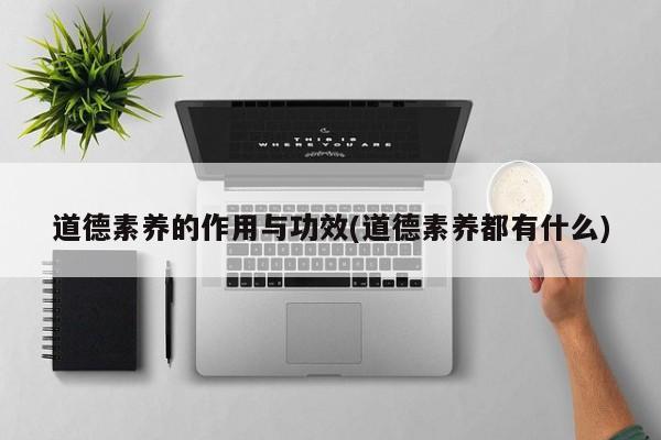 道德素养的作用与功效(道德素养都有什么)