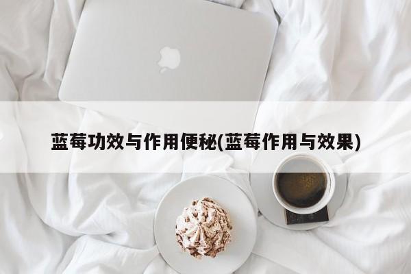 蓝莓功效与作用便秘(蓝莓作用与效果)